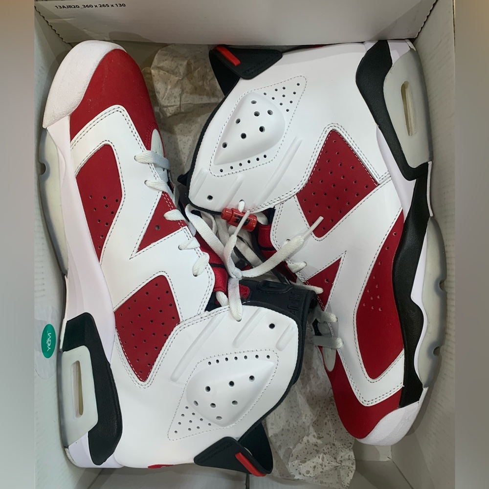 Air Jordan 6 Carmine